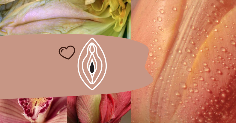 Vulva Care 101: Why Your Vulva Needs all